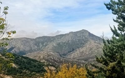 Qué hacer en la Sierra de Guadarrama con niños | Alojamiento rural en Becerril